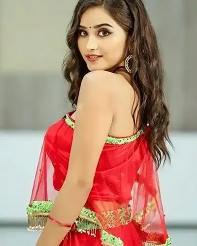 Call Girls Service Tiruchengode